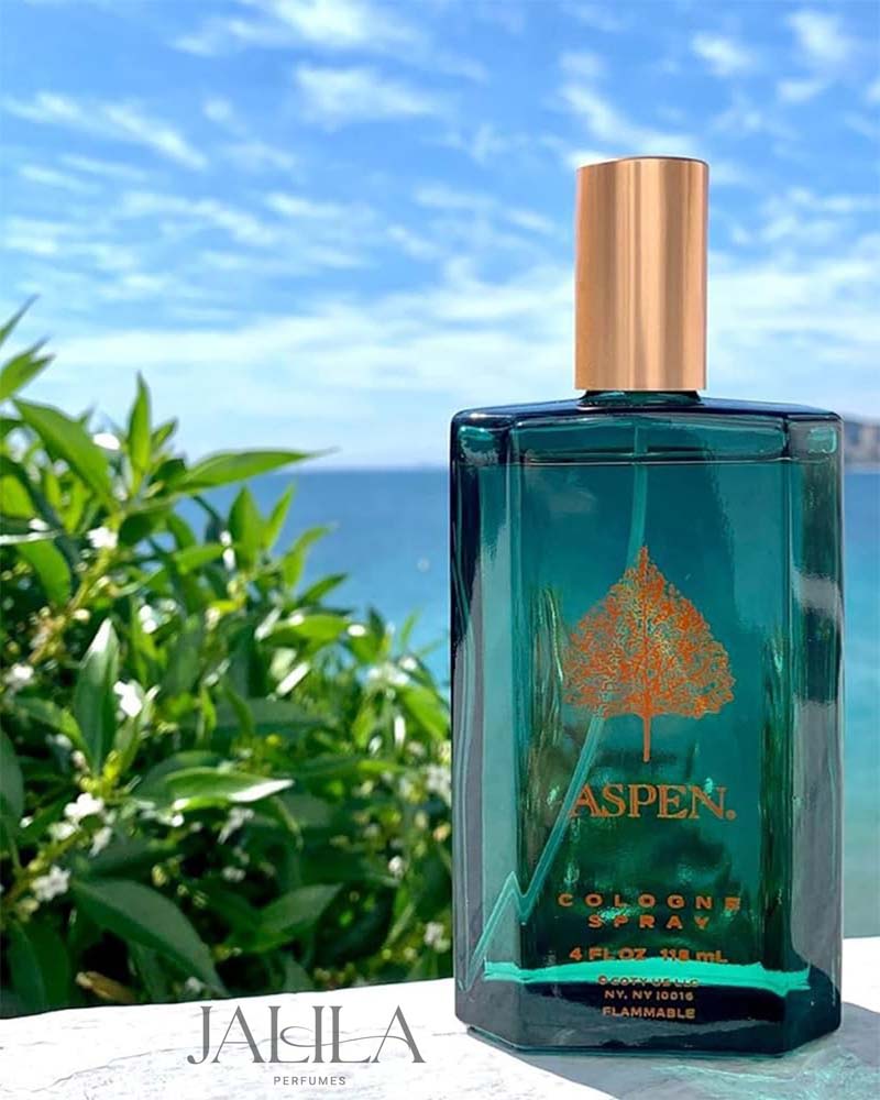 ASPEN SPRAY FOR MEN COLOGNE 118 ML | Jalila Perfumes